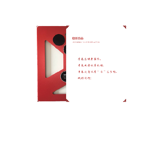 隱形音箱DXCAV YP80.png